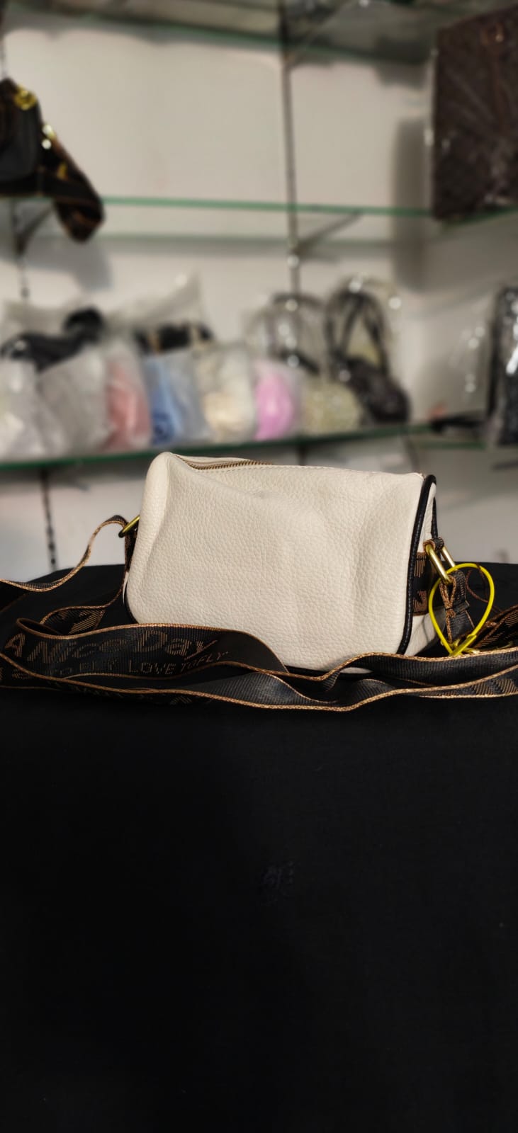Mini Shoulder Crossbody Bag (Imported)