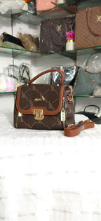 Elegant Designer Style Bag (Imported)
